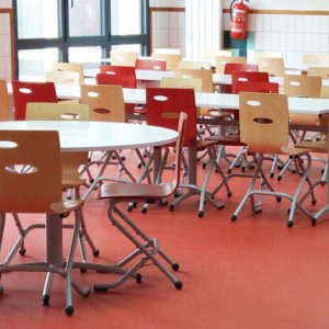 M341 TABLES SULLY & M313 CHAISES ZOOM - MONTEBOURG (50)